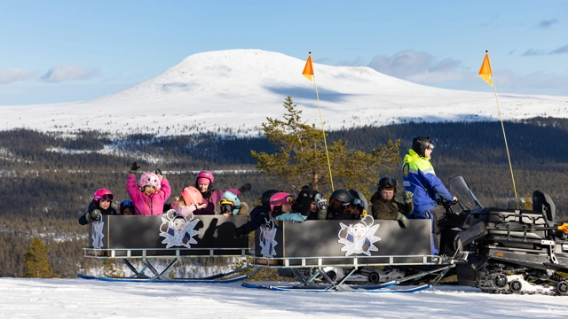 IHF_8355_250227.jpg (1).